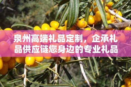 泉州高端礼品定制，企承礼品供应链您身边的专业礼品定制公司