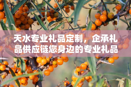 天水专业礼品定制，企承礼品供应链您身边的专业礼品定制公司