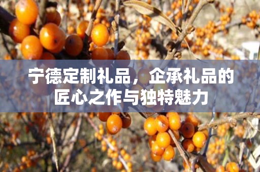 宁德定制礼品，企承礼品的匠心之作与独特魅力